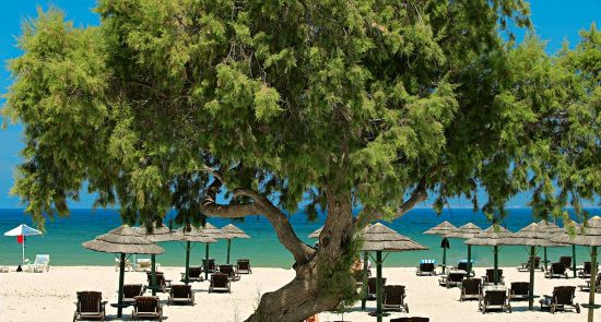 2022m. vasaros sezono naujiena - Koso sala Graikijoje!