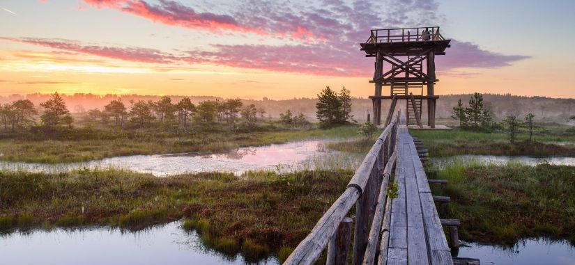 Pažintinė kelionė - Estijos salų grožis ir senasis Talinas 3d. 