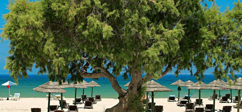 2022m. vasaros sezono naujiena - Koso sala Graikijoje!