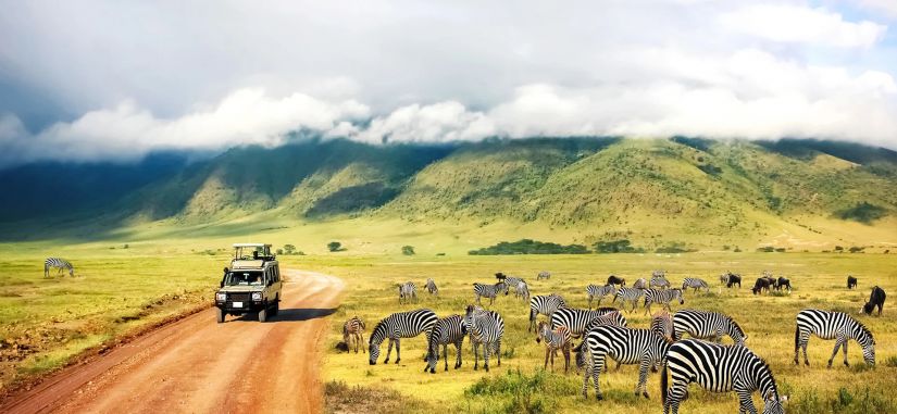 Safaris rojuje, įspūdingi kraštovaizdžiai ir prabangūs viešbučiai - pažintinė kelionė