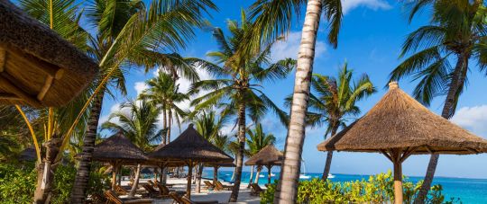 OHO koks degantis pasiūlymas į egzotiškąjį Zanzibarą!